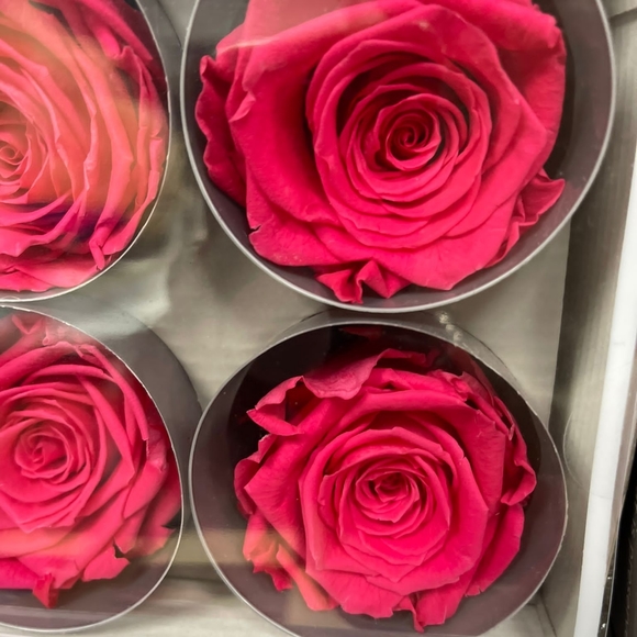 Happy Mother's Day - Picture 6 of 8